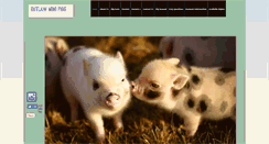 Desktop Screenshot of outlawminipigs.com